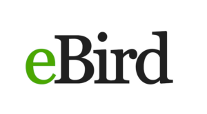 eBird logo