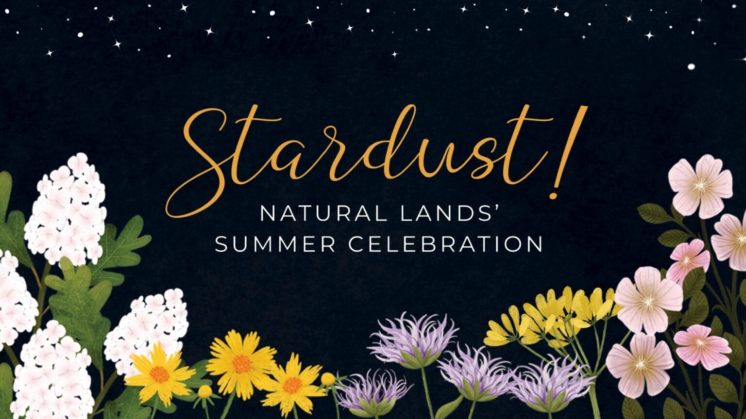 Stardust! Summer Celebration | Natural Lands | Natural Lands