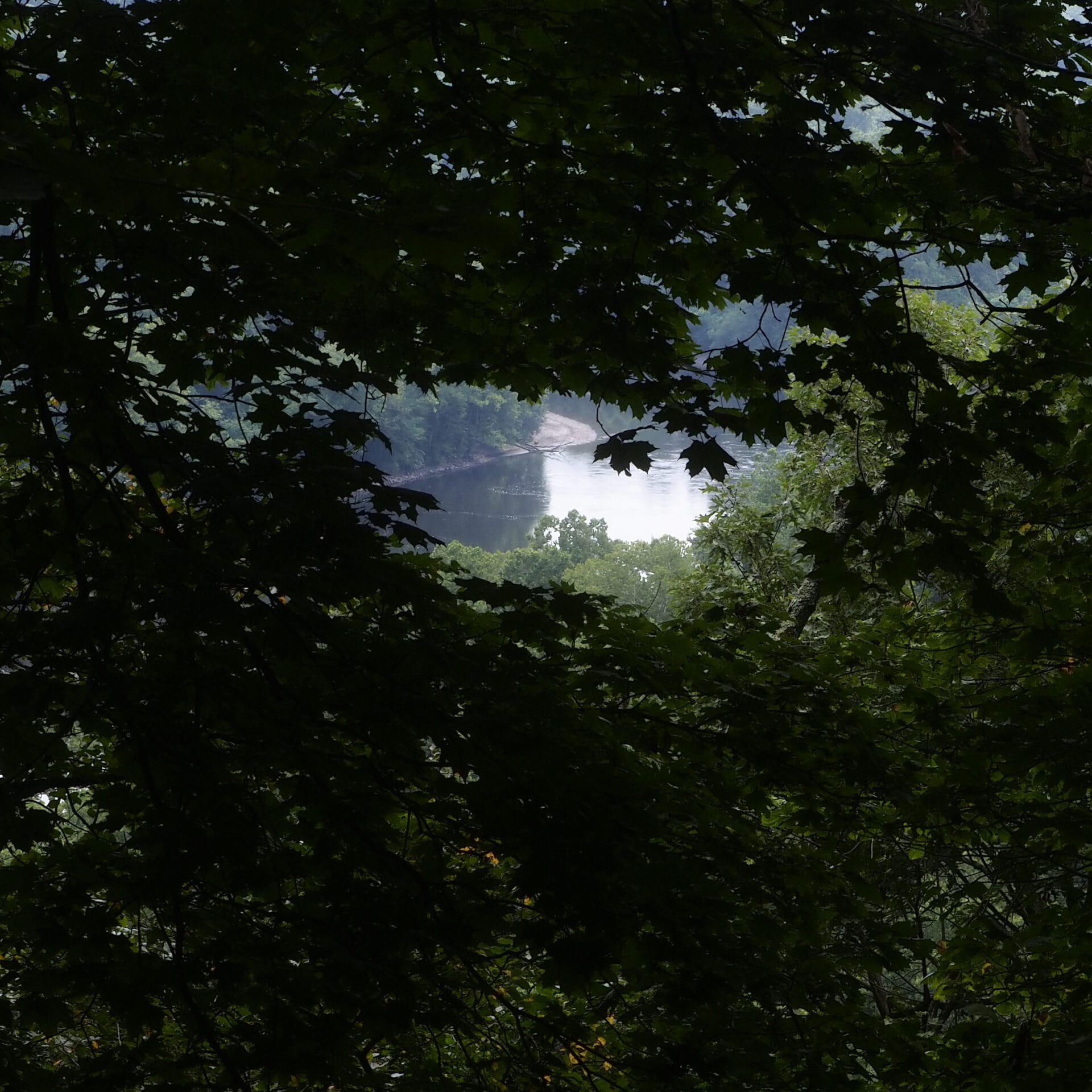 Lehigh River as seen peeping through dark tree branches