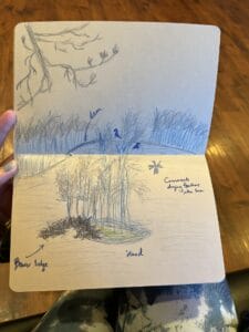 Tianna's drawing of what she observed during a hike and exploration of beaver habitat