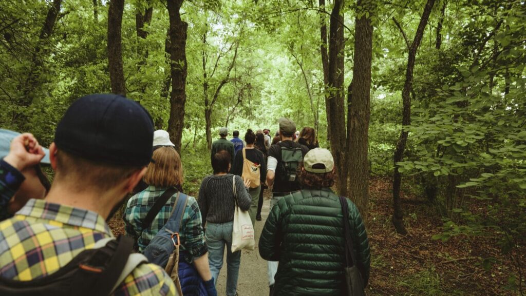 people walking on a nature trail