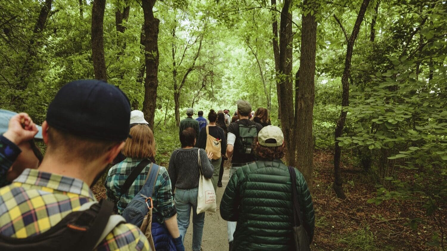people walking on a nature trail