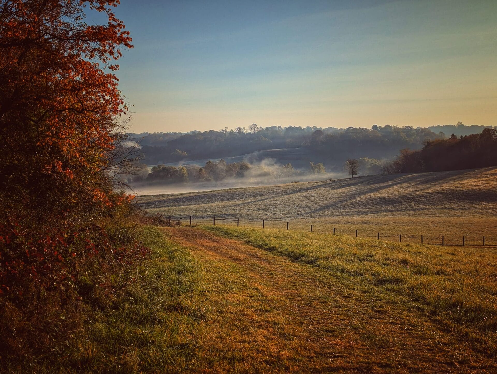 misty nature scene
