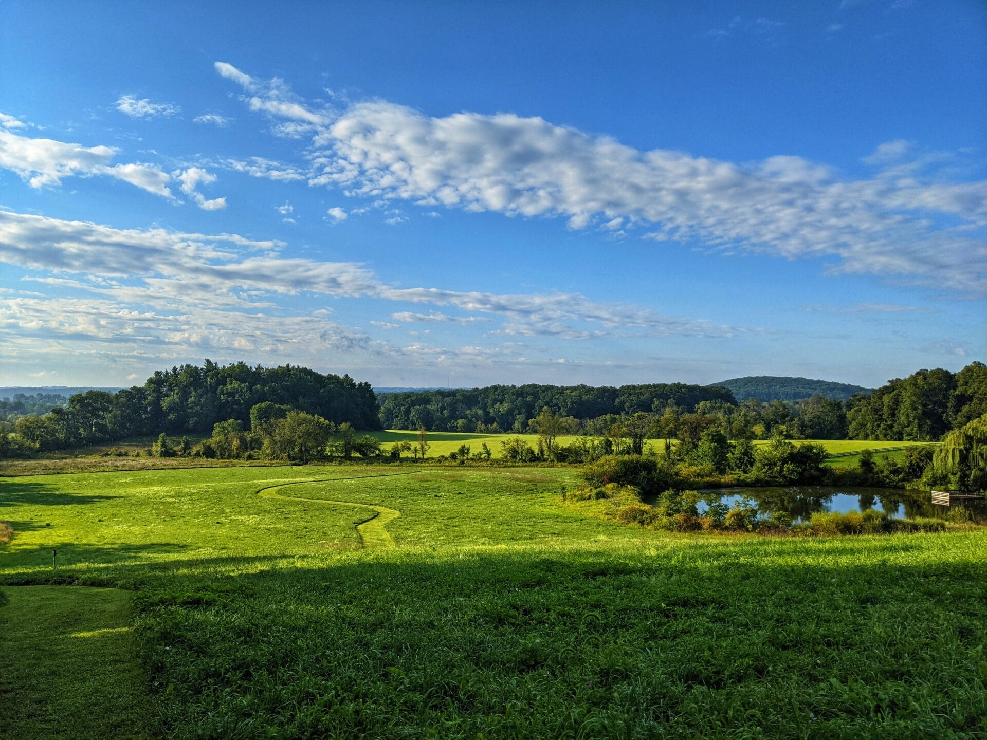 trail through green meadow under blue sky