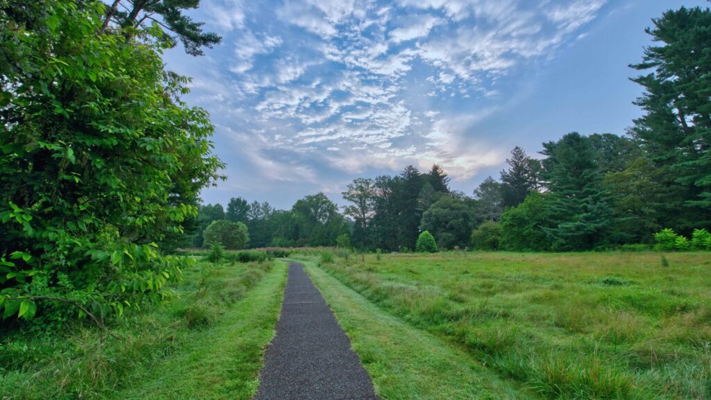 View along the pathway toward the meadow at sunrise