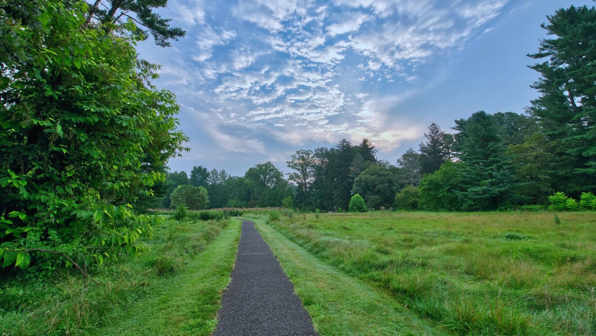 View along the pathway toward the meadow at sunrise
