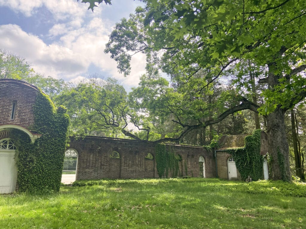 a red stone wall with curved doorways covered in ivy with a large oak tree
