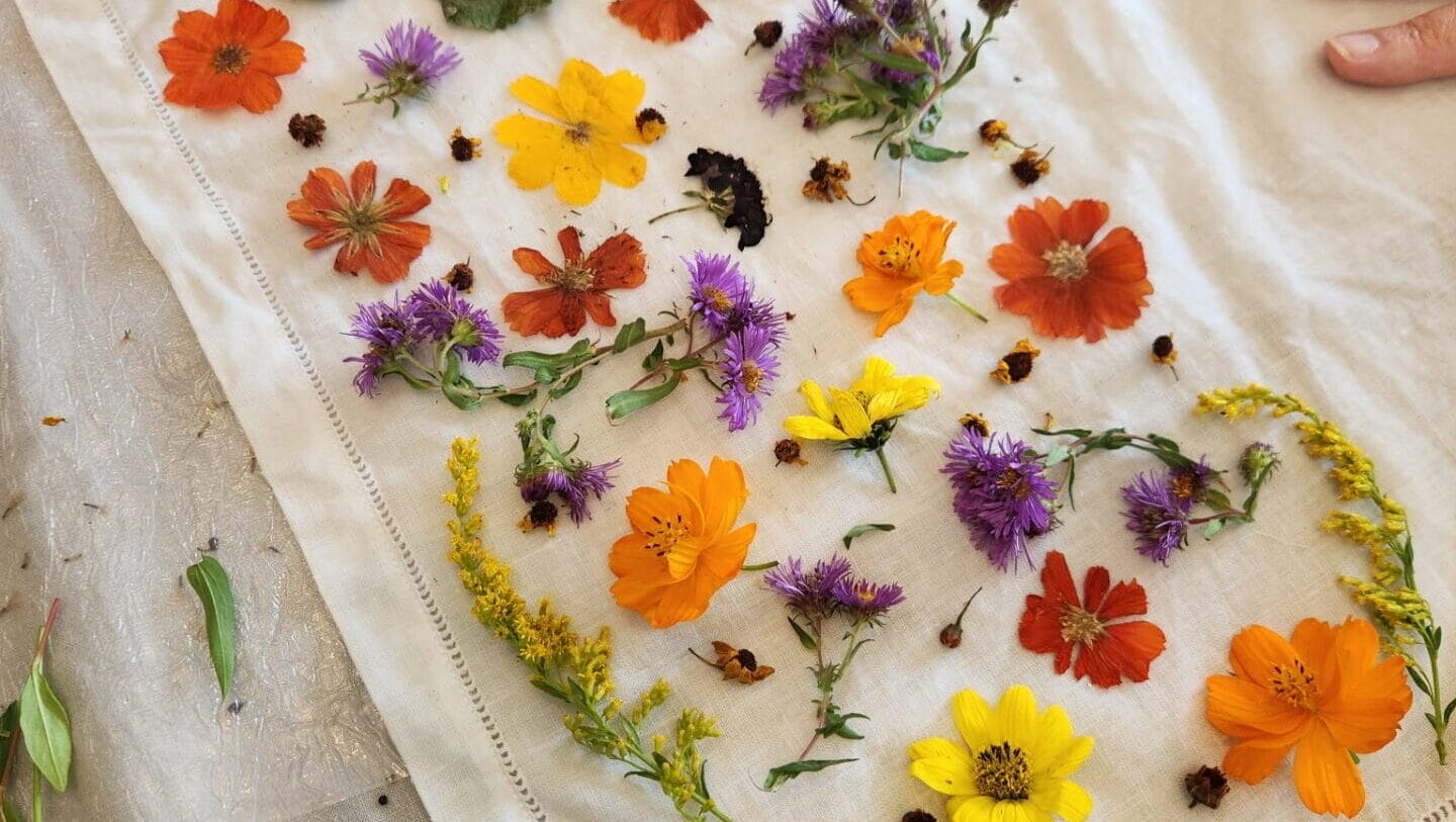 Colorful flowers arranged on a white cloth.