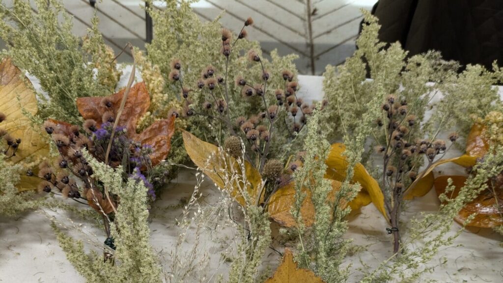 Clusters of dried plant material tied together.