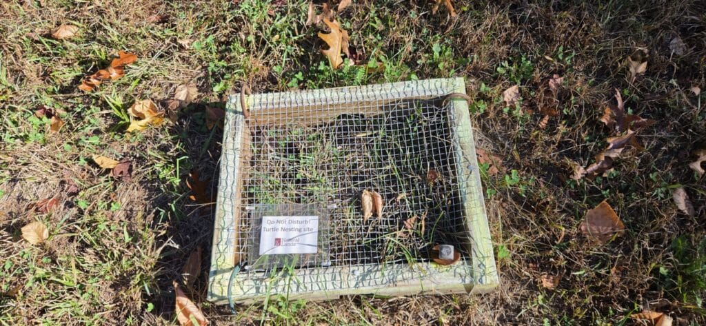 A box of 2x4s with wire mesh overtop on the ground