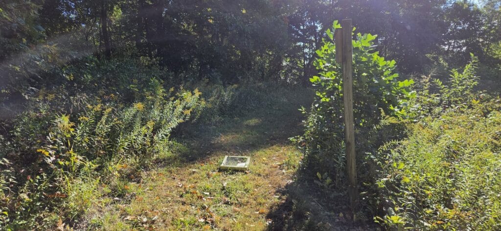 A box of 2x4s with wire mesh overtop on the ground on a nature trail